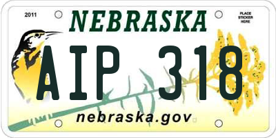 NE license plate AIP318