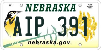NE license plate AIP391