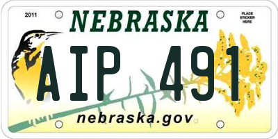 NE license plate AIP491