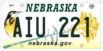 NE license plate AIU221