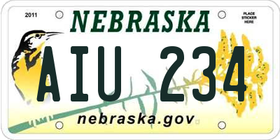 NE license plate AIU234