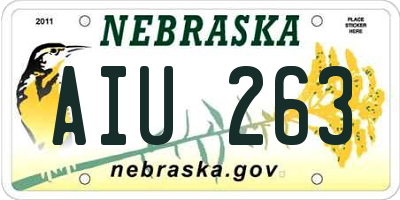 NE license plate AIU263