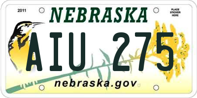 NE license plate AIU275