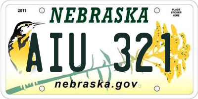 NE license plate AIU321