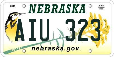 NE license plate AIU323