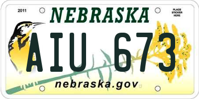NE license plate AIU673