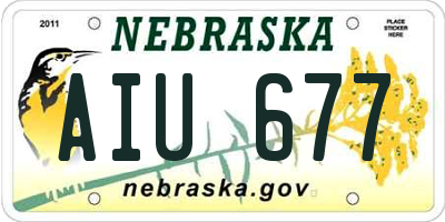 NE license plate AIU677