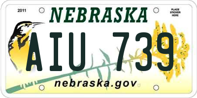 NE license plate AIU739