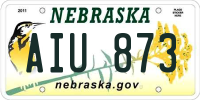 NE license plate AIU873