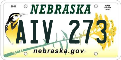 NE license plate AIV273