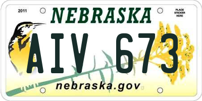 NE license plate AIV673