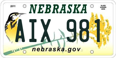NE license plate AIX981