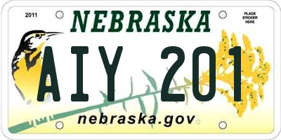 NE license plate AIY201