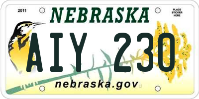 NE license plate AIY230
