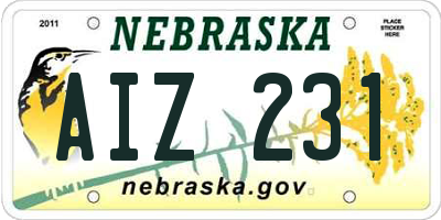 NE license plate AIZ231