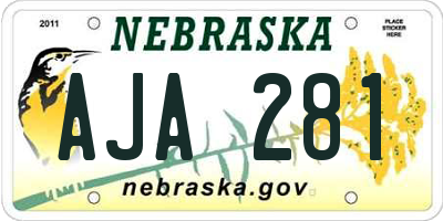 NE license plate AJA281