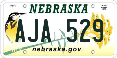 NE license plate AJA529