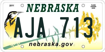 NE license plate AJA713