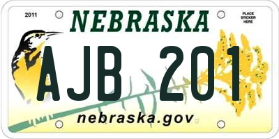 NE license plate AJB201