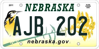 NE license plate AJB202