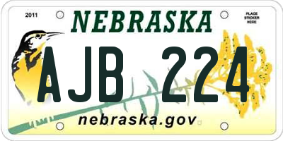 NE license plate AJB224