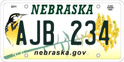 NE license plate AJB234