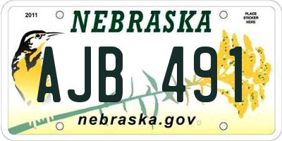 NE license plate AJB491