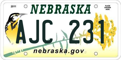 NE license plate AJC231