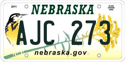 NE license plate AJC273