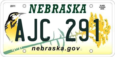 NE license plate AJC291