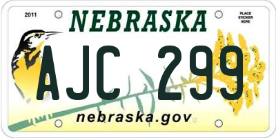 NE license plate AJC299