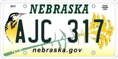 NE license plate AJC317