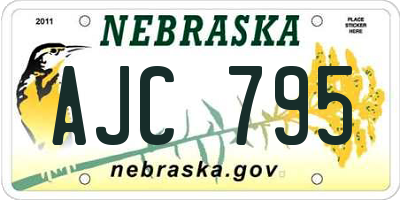 NE license plate AJC795