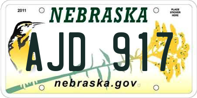 NE license plate AJD917