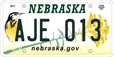 NE license plate AJE013