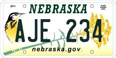 NE license plate AJE234