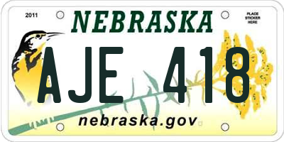 NE license plate AJE418