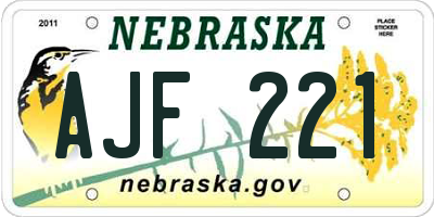 NE license plate AJF221
