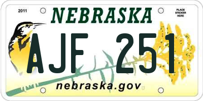 NE license plate AJF251