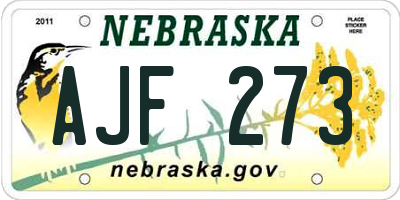 NE license plate AJF273