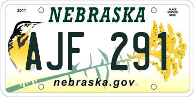 NE license plate AJF291
