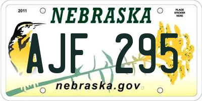 NE license plate AJF295