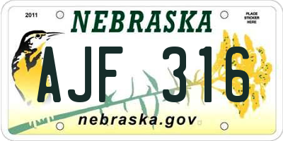 NE license plate AJF316