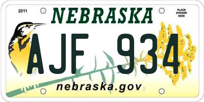 NE license plate AJF934