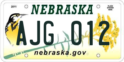 NE license plate AJG012