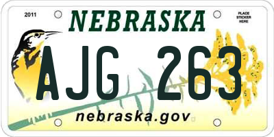 NE license plate AJG263