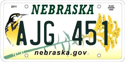 NE license plate AJG451