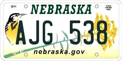 NE license plate AJG538