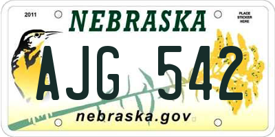 NE license plate AJG542