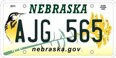 NE license plate AJG565